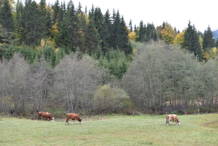 Početak implementacije projekta “Ambalažnom otpadu nije mesto u zaštićenom prirodnom dobru – Zbogom otpadu“